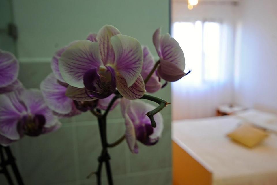 Apartments Marija Bibinje Chambre photo